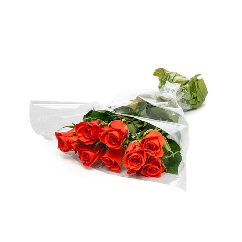 Orange Roses thumbnail 3