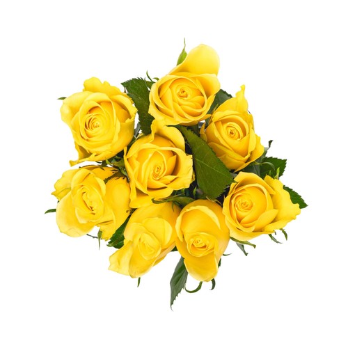 Yellow Roses thumbnail 2