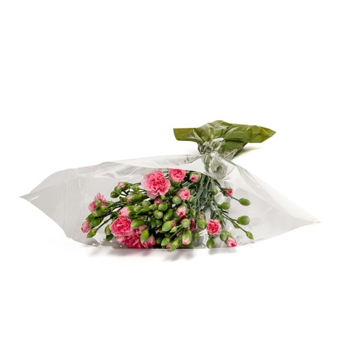 Spray Carnations thumbnail 3