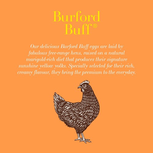Clarence Court Burford Buff 10 Medium Free Range Eggs thumbnail 2
