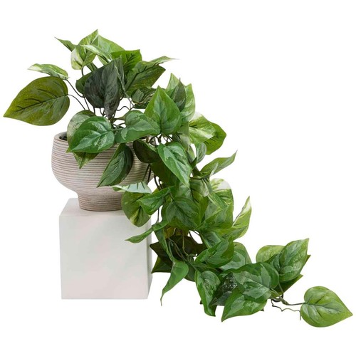 M&S Moss & Sweetpea Artificial Trailing Pothos in Cement Pot, Green -  12.00 | Grocefully