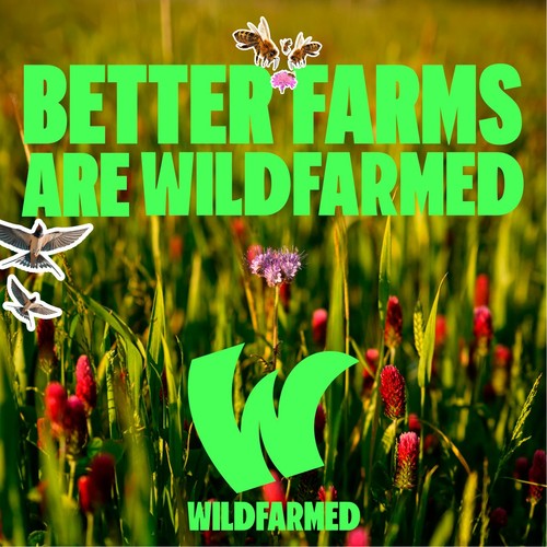 Wildfarmed Crumpets thumbnail 6