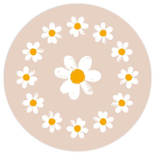 Daisy Cupcake Kit thumbnail 4