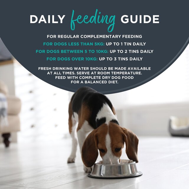 Encore Dog Tin with Chicken Fillet thumbnail 5