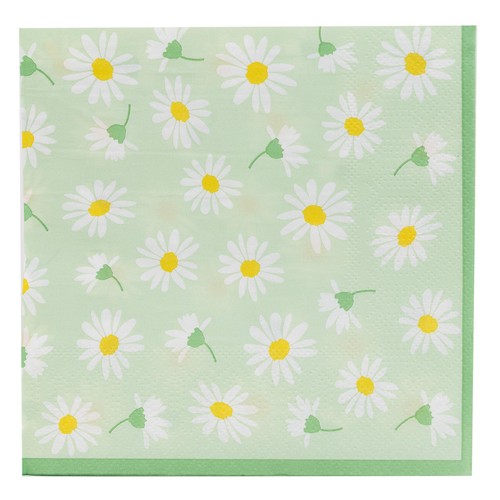 Table Fun Daisy Paper Party Napkins
