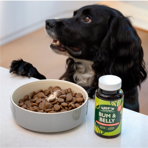 Lily's Kitchen Bum & Belly Supplement for Dogs thumbnail 7