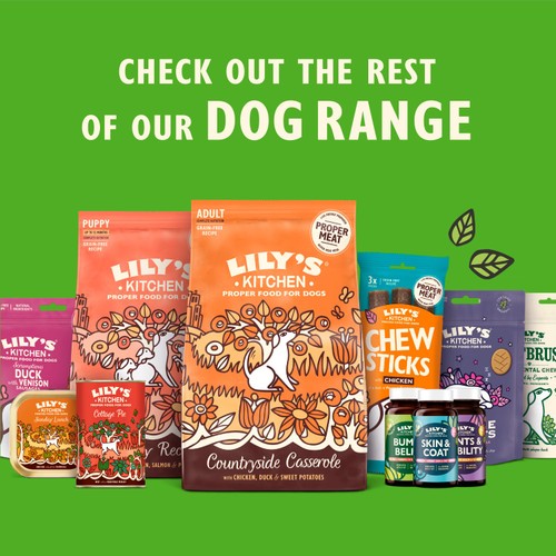 Lily's Kitchen Skin & Coat Supplement for Dogs thumbnail 9