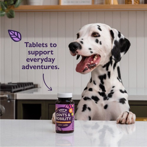 Lily's Kitchen Joints & Mobility Supplement for Dogs thumbnail 7