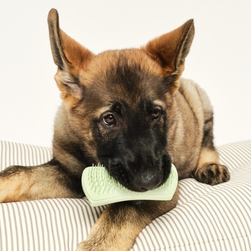 Pet Teezer Puppy Brush Green thumbnail 2