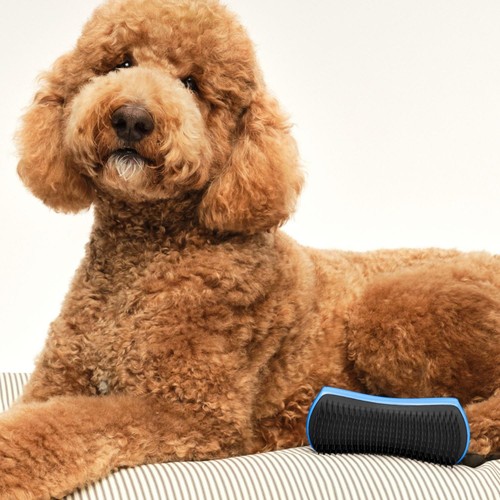 Pet Teezer Large Detangling Brush Blue Grey thumbnail 3