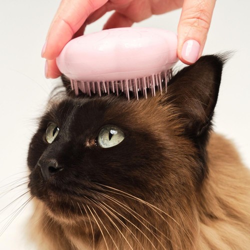 Pet Teezer Cat Brush Pink thumbnail 3