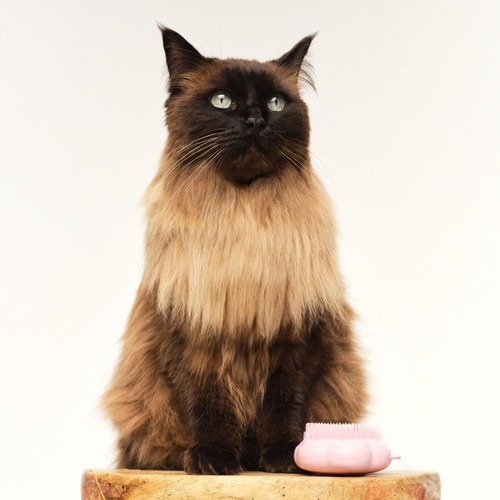 Pet Teezer Cat Brush Pink thumbnail 5