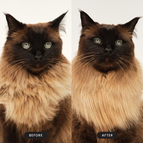 Pet Teezer Cat Brush Pink thumbnail 6