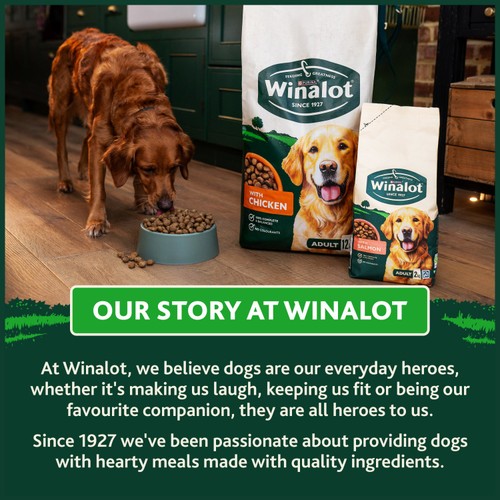 Winalot Adult Salmon Dry Dog Food thumbnail 8