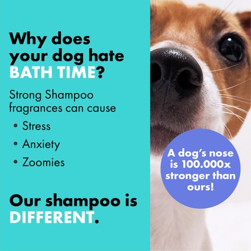 DotDotPet Battersea Conditioning Puppy Shampoo thumbnail 7