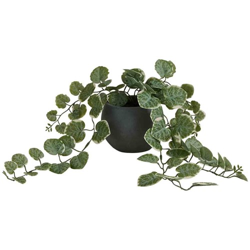 M&S Artificial Trailing Eucalyptus in Ceramic Pot, Grey