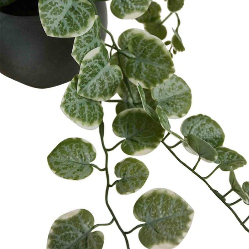 M&S Artificial Trailing Eucalyptus in Ceramic Pot, Grey thumbnail 3