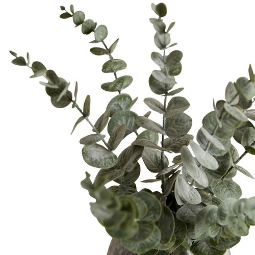 M&S Artificial Eucalyptus in Ceramic Pot, Green thumbnail 2