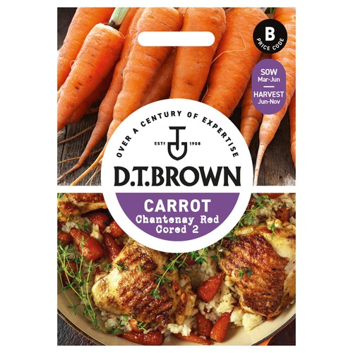 Mr Fothergills Seeds DT Brown Carrot Chantenay Red Cored 2