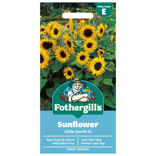 Mr Fothergills Seeds Sunflower Little Dorrit F1