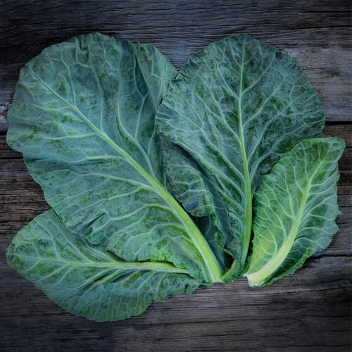 She Grows Veg  Collard Greens Champion Seeds thumbnail 2