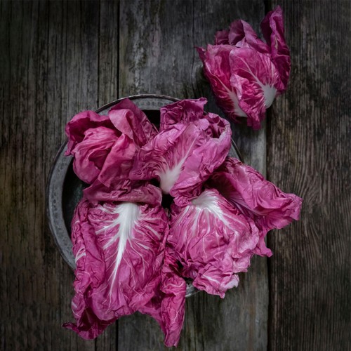 She Grows Veg Chicory Rose of Venice Seeds thumbnail 2