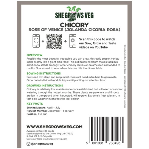 She Grows Veg Chicory Rose of Venice Seeds thumbnail 3