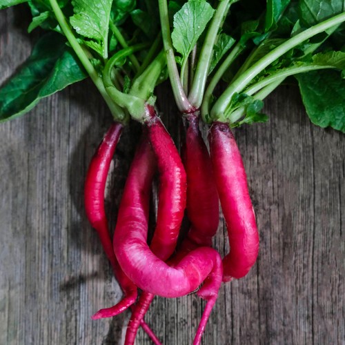 She Grows Veg Spring Radish Fire Candle Seeds thumbnail 2