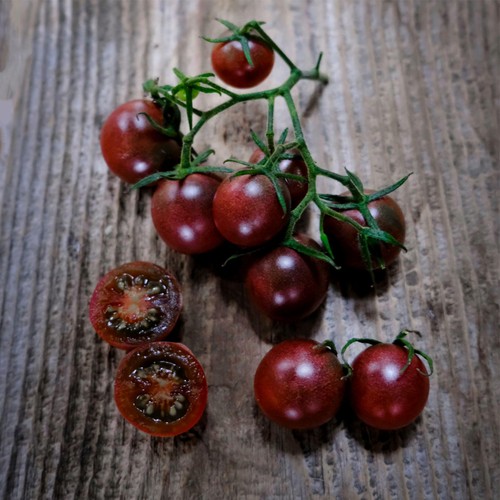 She Grows Veg Tomato Black Cherry Seeds thumbnail 2