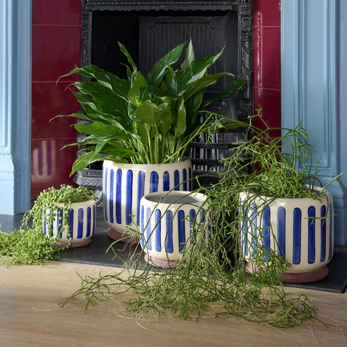 Burgon & Ball Collectors Indoor Pot 16cm Blue Stripe thumbnail 3