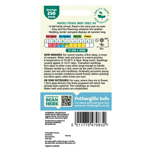 Mr Fothergills Seeds Marigold (French) Dwarf Double Mix thumbnail 2