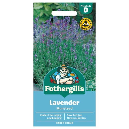 Mr Fothergills Seeds Lavender Munstead