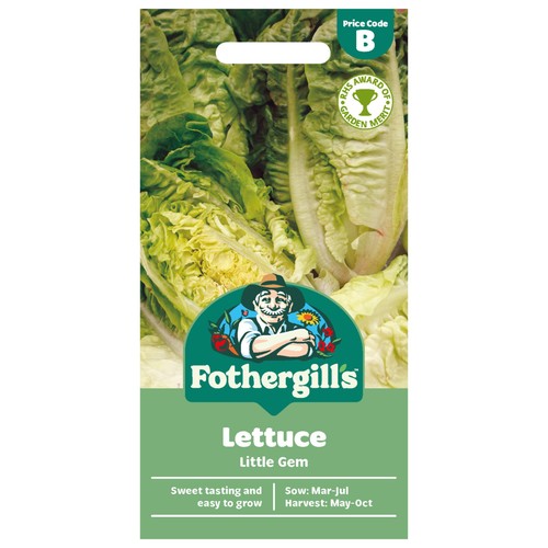 Mr Fothergills Seeds Lettuce Little Gem