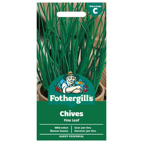 Mr Fothergills Seeds Chives Fine Leaf