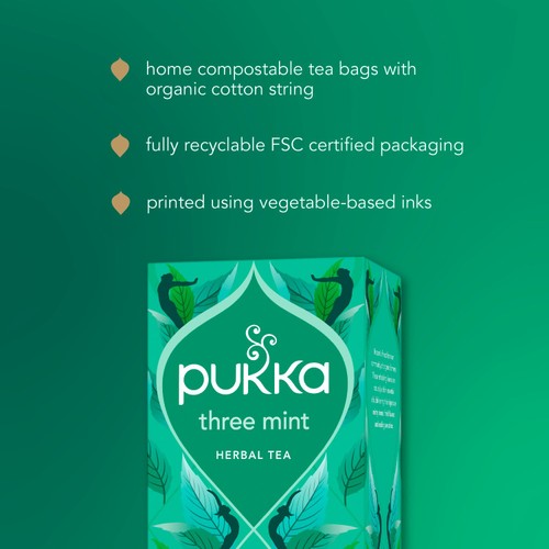 Pukka Organic Digest Collection Herbal Tea with Mint & Ginger thumbnail 6