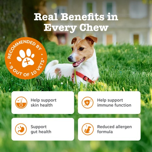 Zesty Paws Allergy & Immunity Chews Rich in Salmon Dog Treats thumbnail 2