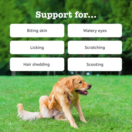 Zesty Paws Allergy & Immunity Chews Rich in Salmon Dog Treats thumbnail 3