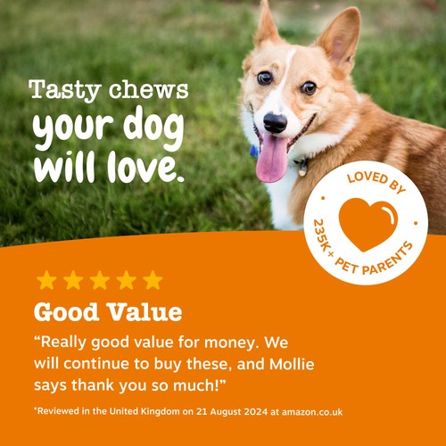 Zesty Paws Allergy & Immunity Chews Rich in Salmon Dog Treats thumbnail 8