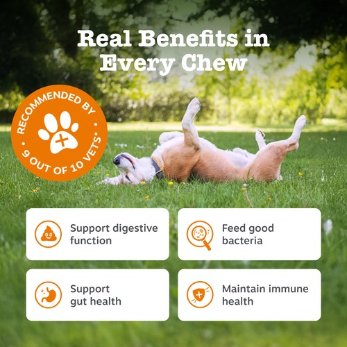 Zesty Paws Probiotic Dog Chews Pumpkin Flavour thumbnail 2