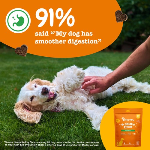 Zesty Paws Probiotic Dog Chews Pumpkin Flavour thumbnail 4