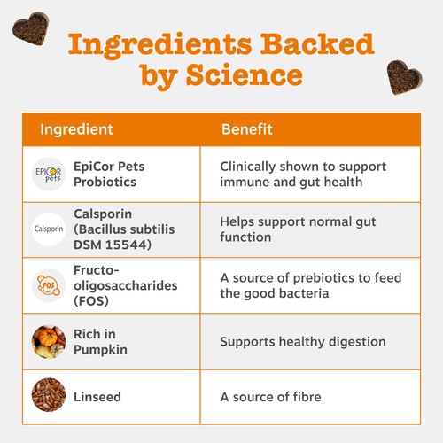 Zesty Paws Probiotic Dog Chews Pumpkin Flavour thumbnail 5
