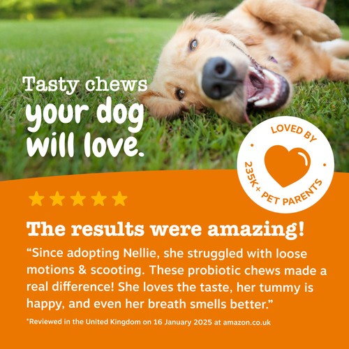 Zesty Paws Probiotic Dog Chews Pumpkin Flavour thumbnail 8