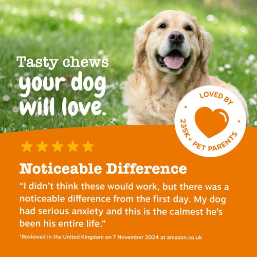 Zesty Paws Calming Dog Chews Turkey Flavour thumbnail 8
