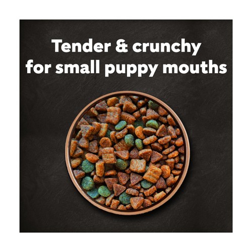 Cesar Complete Dry Puppy Food with Chicken, Rice and Vegetables 1.4kg thumbnail 4