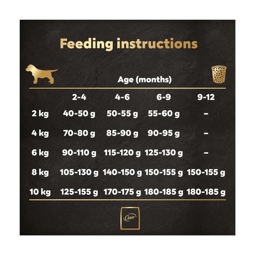 Cesar Complete Dry Puppy Food with Chicken, Rice and Vegetables 1.4kg thumbnail 5