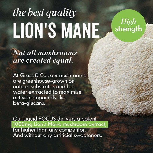 Grass & Co. Liquid FOCUS Lion's Mane Nootropic Drink  thumbnail 4