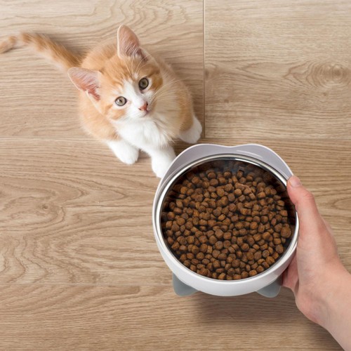 Catit Recipes Dry Kitten Poultry thumbnail 5
