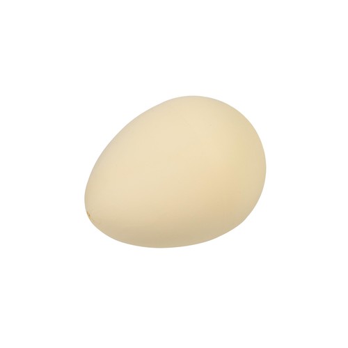 Hatch Your Own Dinosaur Egg thumbnail 2