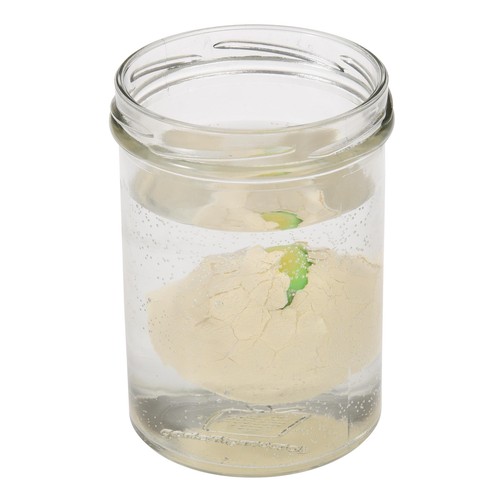 Hatch Your Own Dinosaur Egg thumbnail 3