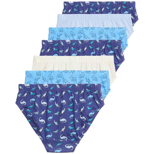 M&S Pure Cotton Dino Briefs, 3-4 Years, Multi thumbnail 4